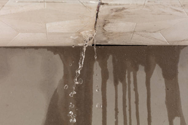 Professional Structural Drying technician working in Franklin, MO